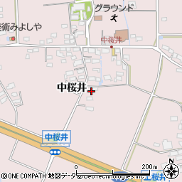 長野県佐久市桜井282周辺の地図