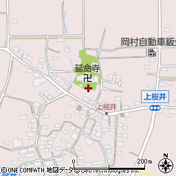 長野県佐久市桜井898周辺の地図