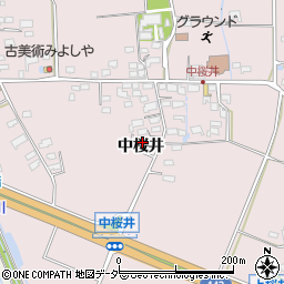 長野県佐久市桜井294周辺の地図