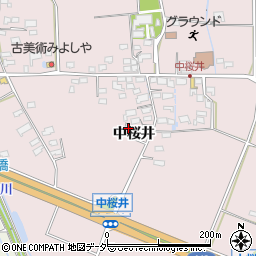 長野県佐久市桜井297周辺の地図