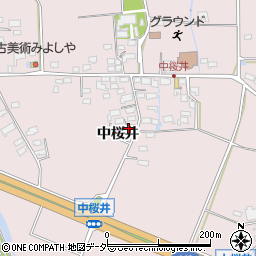 長野県佐久市桜井295周辺の地図