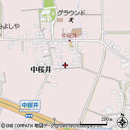 長野県佐久市桜井265周辺の地図