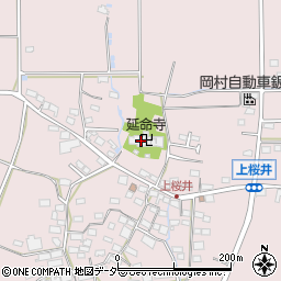長野県佐久市桜井921周辺の地図