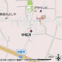 長野県佐久市桜井299周辺の地図