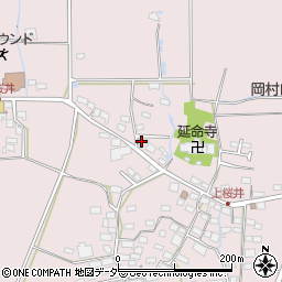 長野県佐久市桜井895-19周辺の地図