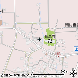 長野県佐久市桜井895周辺の地図