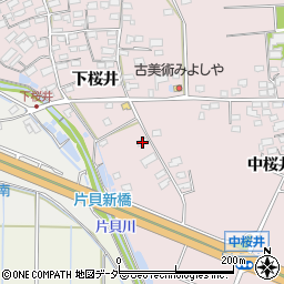 長野県佐久市桜井331-6周辺の地図