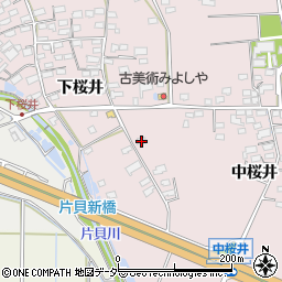 長野県佐久市桜井323周辺の地図