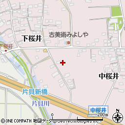 長野県佐久市桜井323-6周辺の地図