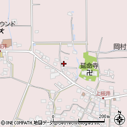 長野県佐久市桜井895-2周辺の地図