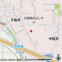 長野県佐久市桜井323-1周辺の地図