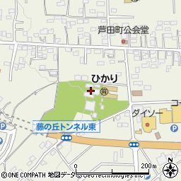 群馬県藤岡市藤岡2378-5周辺の地図