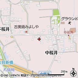 長野県佐久市桜井316-1周辺の地図