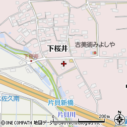 長野県佐久市桜井411周辺の地図