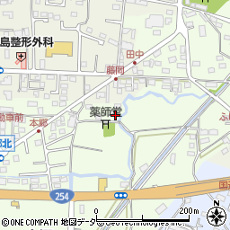 群馬県藤岡市本郷668-5周辺の地図