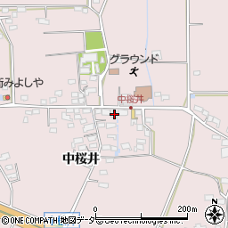 長野県佐久市桜井273周辺の地図