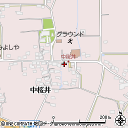 長野県佐久市桜井272周辺の地図