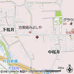 長野県佐久市桜井319周辺の地図