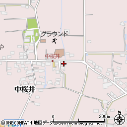 長野県佐久市桜井167周辺の地図