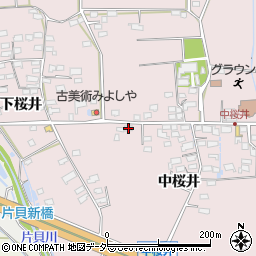 長野県佐久市桜井318-1周辺の地図