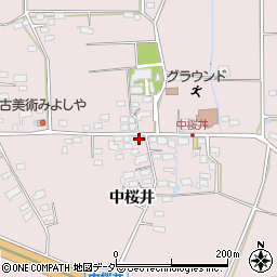 長野県佐久市桜井305周辺の地図