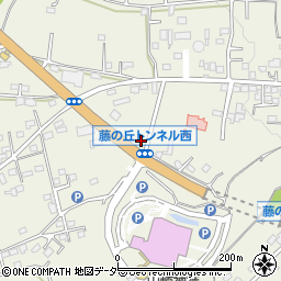 群馬県藤岡市藤岡2343-11周辺の地図