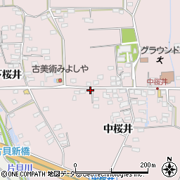 長野県佐久市桜井317周辺の地図