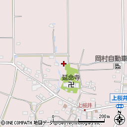 長野県佐久市桜井875周辺の地図