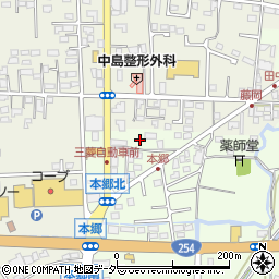 群馬県藤岡市本郷697-1周辺の地図