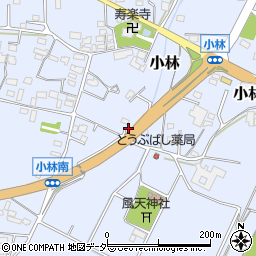 群馬県藤岡市小林782-3周辺の地図