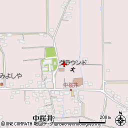 長野県佐久市桜井691周辺の地図