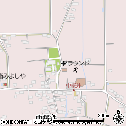 長野県佐久市桜井677周辺の地図