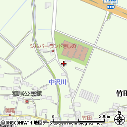 長野県佐久市根岸竹田129周辺の地図