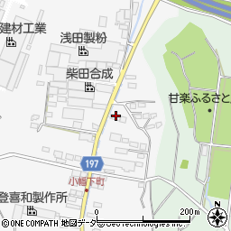 有限会社昭和観光周辺の地図