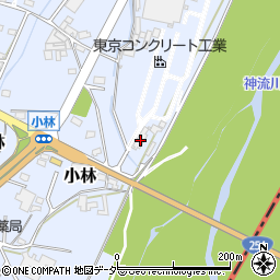 群馬県藤岡市小林1094-1周辺の地図