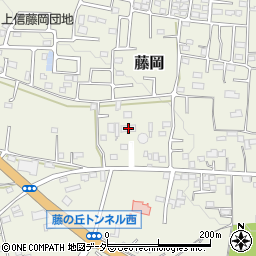 トキワエネスタ藤岡高崎周辺の地図