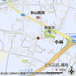 群馬県藤岡市小林764-4周辺の地図