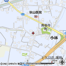 群馬県藤岡市小林764-1周辺の地図