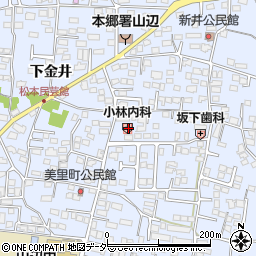 長野県松本市里山辺新井1556周辺の地図