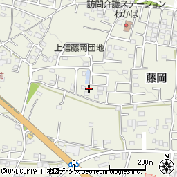 群馬県藤岡市藤岡2006-102周辺の地図