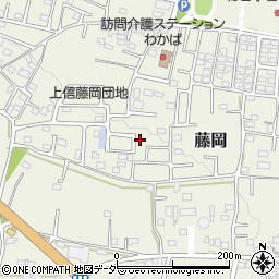 群馬県藤岡市藤岡2006-66周辺の地図