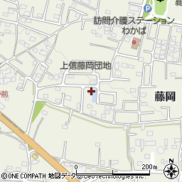 群馬県藤岡市藤岡2006-76周辺の地図