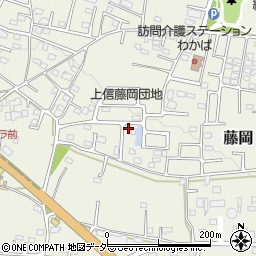 群馬県藤岡市藤岡2006-53周辺の地図