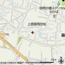 群馬県藤岡市藤岡2006-48周辺の地図