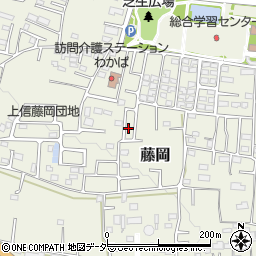 群馬県藤岡市藤岡1984-27周辺の地図