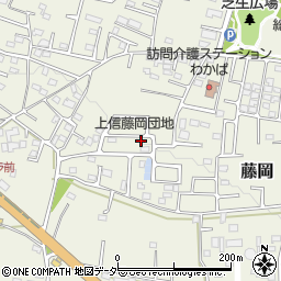 群馬県藤岡市藤岡2006-38周辺の地図