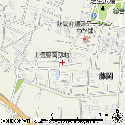 群馬県藤岡市藤岡2006-58周辺の地図