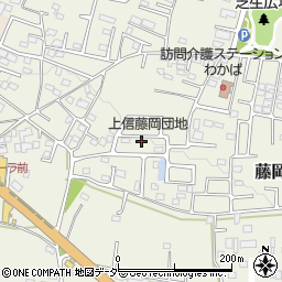 群馬県藤岡市藤岡2006-36周辺の地図