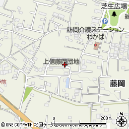 群馬県藤岡市藤岡2006-32周辺の地図