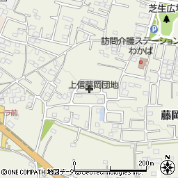 群馬県藤岡市藤岡2006-30周辺の地図